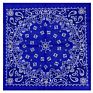 Fanni 22X22 Inches Paisley Bandana Headband Multifunction Cotton Square Face Covering Bandana Handkerchief Scarfs