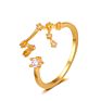 Gold Plated Cubic Zirconia 12 Zodiac Sign Letters Fine Jewelry for Women Men Birthday Gift Bijoux Constellation Rings
