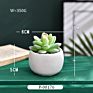 Green Individual Mini Faux Fake Artificial Succulent Cactus Plant Bonsai Succulent Assorted Set