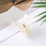 Hairpin Cellulose Acetate Hairpin Butterfly Hair Claw anti Skid Hair Accessories