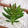 Price the Newest Artificial Succulent Plants Arrangement Faux Mini Cactus Succulents