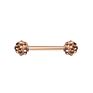 Nipple Rings