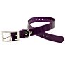 Sunglo Waterproof Tpu Synthetic Dog Collars with Adjustable Holes Supplies