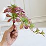 Artificial Mini Succulent and Cactus Succulent Pots Plant for Home Decoration