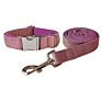 Classic Velvet Dog Bow Tie Collar and Leash Set Pet Gift with Bow