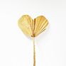 Flora Sell Dried Flower Dried Palm Leaves for Wedding Decoration