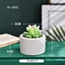 Green Individual Mini Faux Fake Artificial Succulent Cactus Plant Bonsai Succulent Assorted Set