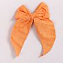 Plush Big Hair Claw Accessory Hair Clip Claws Plush Woman Hairpins