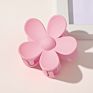 Rara 7Cm Ins Hair Accessories Fashionable Daisy Hair Clip Flower Medium Plastic Hair Claw