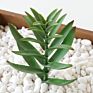 Artificial Mini Succulent and Cactus Succulent Pots Plant for Home Decoration
