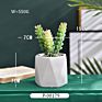 Green Individual Mini Faux Fake Artificial Succulent Cactus Plant Bonsai Succulent Assorted Set