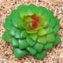 Price the Newest Artificial Succulent Plants Arrangement Faux Mini Cactus Succulents