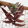 Artificial Mini Succulent and Cactus Succulent Pots Plant for Home Decoration