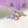 Butterfly Jelly Catch Chuck Translucent Texture Clip Hair Accessories Clamp Temperament Hair Claw Horsetail