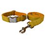 Classic Velvet Dog Bow Tie Collar and Leash Set Pet Gift with Bow