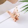 Hairpin Cellulose Acetate Hairpin Butterfly Hair Claw anti Skid Hair Accessories