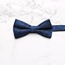 Professional Mens Suit Shirt Bowties Stylish Business Bow Ties For