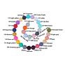 C'dear Multi-Colored Comprehensive Wood Educational Children Shaking Baby Rattle and Teether Giftset, Teething Ring//