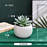 Green Individual Mini Faux Fake Artificial Succulent Cactus Plant Bonsai Succulent Assorted Set