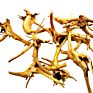 10-15 Cm Driftwood for Aquarium Natural Wood Branches Fish Tank Decorations Reptiles Tree Trunk Driftwood