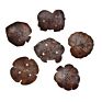 100% and Coconut Shell Soap Dish/ Coconut Shell Soap Dish Is Suitable for Your Bathroom