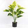 Acrylic Artificial Plant