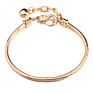 18K Gold Plated Adjustable Multiple Models European Charm Bracelet Simple Snake Chain Diy Charm Bracelet for Women and Men
