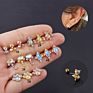 20G Moonstone Paw Cz Cartilage Stud Helix Rook Conch Screw Back Earring Stainless Steel Ear Piercing Jewelry