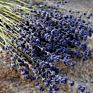 22Inch Dried Lavender Bundle Flowers Freshly Harvested Real 100% Natural Lavender Bunch for Diy Home Office Party Wedding Deco