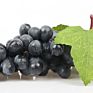Artificial Grape Bunch Fake Grapes Vine Plastic Raisins Leaf Rattan Fruit Props Indoor Ceiling Decor Grape Leaves Artificial