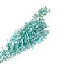 Artificial Green Ruscus Dried Flower Italian Ruscus Greenery Garland Ruscus Leaves for Decor