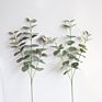 Artificial Greenery Eucalyptus Stems Straight Silver Dollar Eucalyptus Leaf Silk Bushes Plastic Plants Floral for Home Wedding