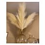 Artificial Large Faux Pampas Grass