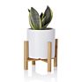 Bamboo Small Plant Stand with Cylinder Matte Ceramic Planter