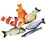 Catnip Filled Simulation Fish Interactive Cat Toy Soft Plush Chewing Toys for Cats