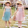 Children's Suspenders Princess Dresses Baby Tutu Skirts Girls' Chiffon Dresses