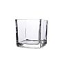 Clear Cube Square Glass Vase For