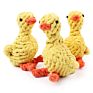 Cotton Rope Chew Bite Resistant Teeth Cleaning Pet Dog Toy Duck