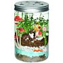 Creativity for Kids Grow N Grow Terrarium Science Kits for Kids