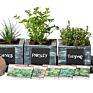 Culinary Indoor Herb Garden Starter Kit Basic Herb Seeds 6 Non-Gmo Varieties Grow Cooking Herbs Spices Seeds