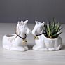 Creative ceramic Mini Flowerpot