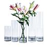Cylinder Glass Flower Vase for Home Decor