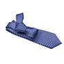 Design Blue Neck Tie