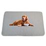 Dog Pee Mat Washable Strong Water Absorption Dog Pee Pad Puppy Training Waterproof Pee Pad