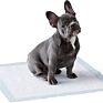 Dono Dog Pee Pads and Puppy Training Pads - Super Absorbent & Leak-Free Potty Pads for Dogs