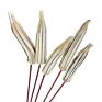 Dried Artificial Flower Okra Use Natural Bouquet Warm Preserved Long Lasting for Diy Wedding Colorful Decorative Flower