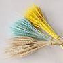 Dried Wheat Bouquet Boho Decor Household Flower Arrangement Preserved Natural Plant Centerpiece Decoration Wedding
