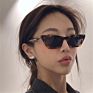 Eyewear Sunglass Styles Womens Sunglasses for Men Metal Frames Eyeglass Cat Eye Glasses Ladies Glasses