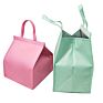 Fashionable Durable Pouch Tote Promotional Cake Food Insulated Pp Non Woven Cooler Bag