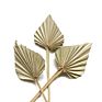 Flora Sell Dried Flower Dried Palm Leaves for Wedding Decoration